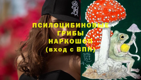 бошки Абинск