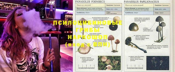 бошки Абинск