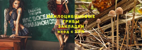 бошки Абинск