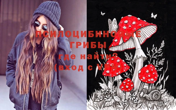 не бодяженный Абаза